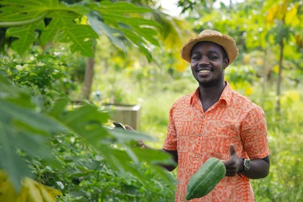 Agrobusiness ARCHIDESIGN SENEGAL - agriculteur sur le terrain